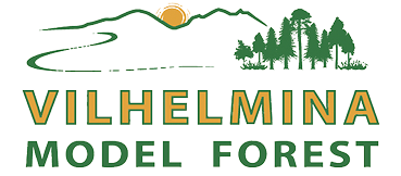 Vilhelmina Model Forest